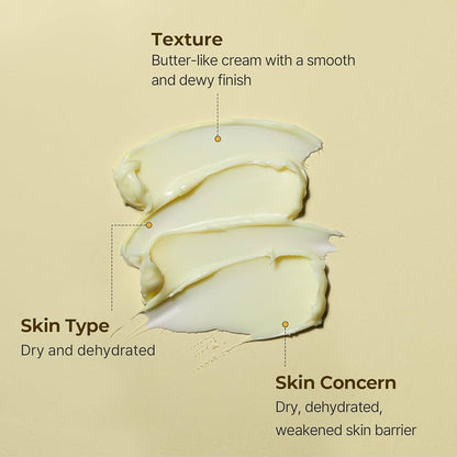 TORRIDEN – SOLID-IN Ceramide Cream – 70 ml