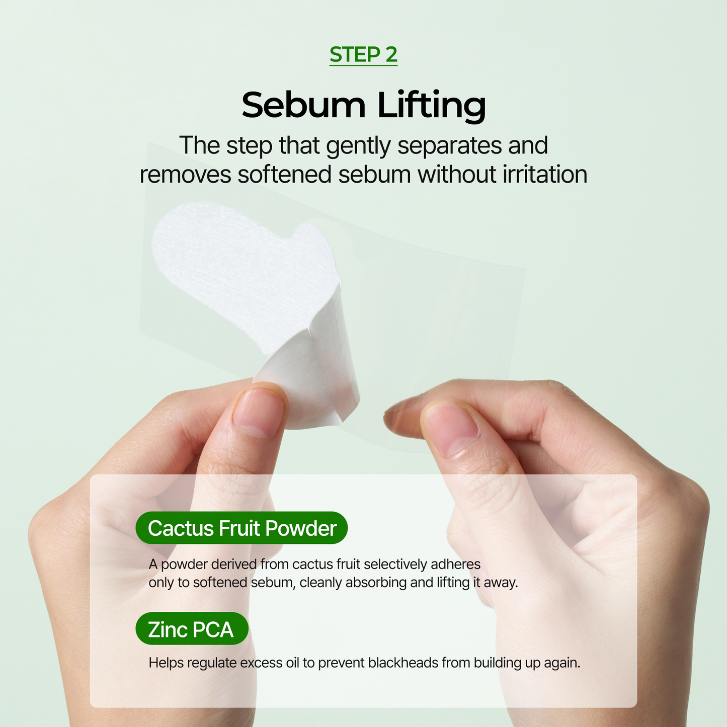 DR MELAXIN - Cactox 3-Step Nose Pore Pack 3gX3ea