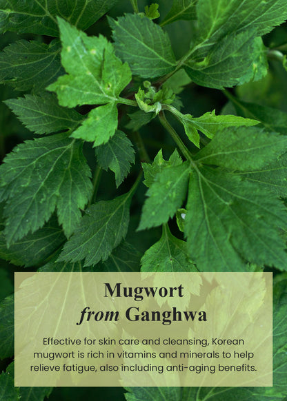 IM From - Mugwort Mask 30g