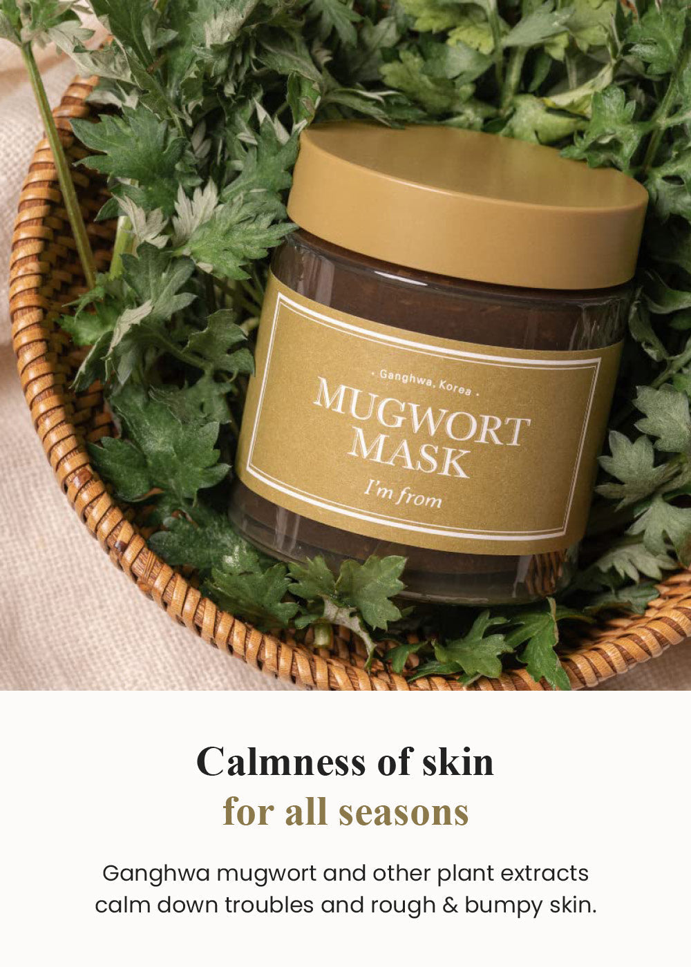 IM From - Mugwort Mask 30g