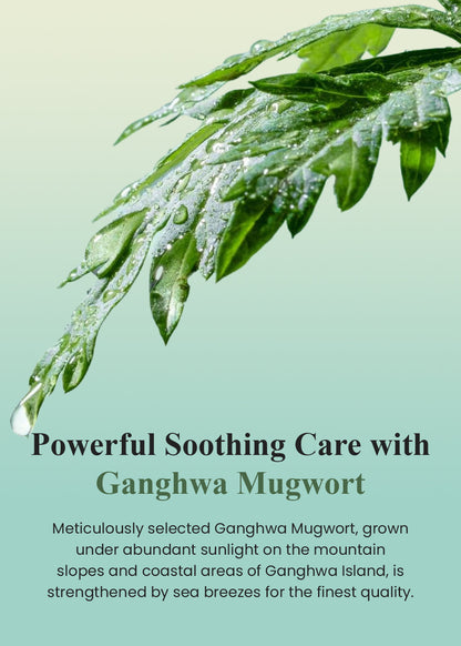 IM From - Mugwort Fluid Cream 50ml
