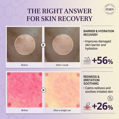 Active Renew Cream